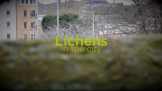 Lichens in the city short film 10min Scotland 2016 [upl. by Aihsenal]