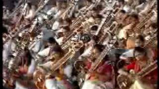 Sitar  Guinness World Record [upl. by Atillertse]