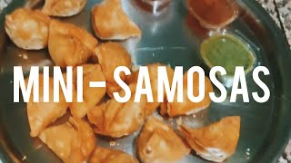 MiniSamosas  Tag a Samosa Lover  food streetfood shorts [upl. by Iddo]