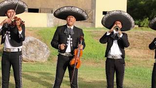 Por Amor a mi Padre  El Mariachi Tecalitlán [upl. by Nalda]