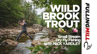 Dry Fly Fishing Wild Brook Trout on a Small Mountain Stream [upl. by Ashley625]