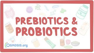 Prebiotics amp probiotics [upl. by Adnwahsat398]