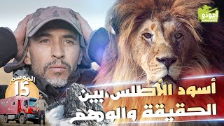 أمودّو 207  أسود الأطلس، بين الحقيقة والوهم ✅ [upl. by Avot]