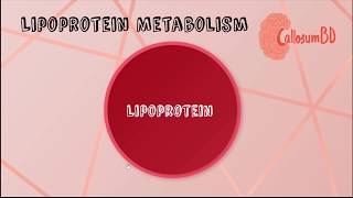 Lipoprotein • structure function amp classification Biochemistry [upl. by Roos]