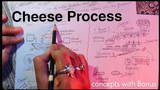 Process of making Cheese   Rennet amp Starter Culture [upl. by Aneek784]