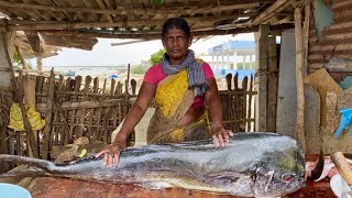 14 Kg Big Dorado Fish😱｜Per Kg ₹200⧸2  Bigfishcutting 🔥fish fishcutting [upl. by Frederiksen]