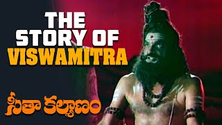 Seetha Kalyanam Telugu Movie Scenes  The Story of Viswamitra  Ravikumar Jayaprada Jamuna  Bapu [upl. by Rape]