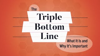 What Is the Triple Bottom Line  Business Explained [upl. by Engle596]