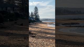 Collaroy Beach Sydney Australia youtubeshorts beach seaside sydney [upl. by Anitsrik126]