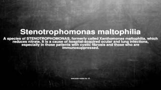 Medical vocabulary What does Stenotrophomonas maltophilia mean [upl. by Ikim]