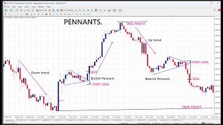 How to trade with the Bearish Pennant Chart Pattern [upl. by Scoville662]