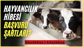 Hayvancılık Hibe ve Teşvik Başvuru Şartları Nelerdir  Çiftçi Kayıt Sitemi  Devlet Destekli [upl. by Clayborn]