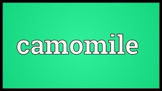 Camomile Meaning [upl. by Waldos775]