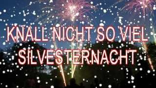 Lustige Silvestersprüche [upl. by Airlie]