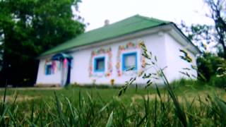 Petrykivka decorative painting as a phenomenon of the Ukrainian ornamental folk art [upl. by Buffum]