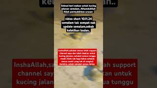 memang banyak betul kucing jalanan semalam 101124 Alhamdulillah Allah permudahkan urusan semalam [upl. by Marriott]