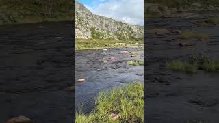 Fluss Felsen  Norwegen August 2024 FreundeskreisOnTourVideo [upl. by Husain]