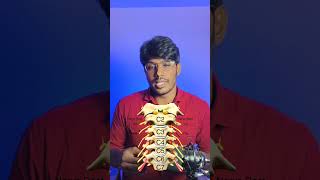 கழுத்து வலியா இந்த Exercise போதும் Neck pain excercise [upl. by Hcirdeirf161]