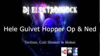 DJ Elektroshock  Hele Gulvet Hopper [upl. by Sapphera]