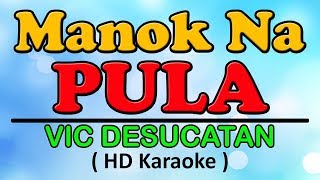 MANOK NA PULA Karaoke Version  Vic Desucatan [upl. by Mountfort138]