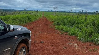 FAZENDA 2MIL ALQUEIRES À VENDA EM NOVO PROGUESSOPA [upl. by Diad]