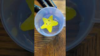 How to draw a cute Star  Super Easy stepbystep diy tutorial ⭐️😊 [upl. by Ayifa237]