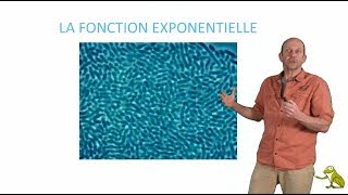 La fonction exponentielle [upl. by Neruat]