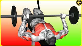 6 Exercises Chest to Get Bigger Chest to Much Fast Only Barbell [upl. by Henning912]