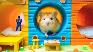 Hamster vs Maze Challenge  Will It Escape 🐹 Hamster Maze [upl. by Amihc]