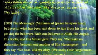 Last 3 Verses of Surah Baqarah Hasan bin Abdullah BEAUTIFUL RECITATION MASHALLAH [upl. by Ynner]