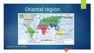 Oriental region  Zoological characteristics and physical features of Oriental region [upl. by Aelrac]