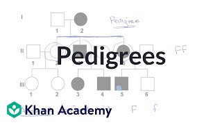 Pedigrees  Classical genetics  High school biology  Khan Academy [upl. by Esinrahc]