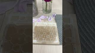 Water Absorption Test on Ceramic vs Porcelain Tiles [upl. by Fidele]