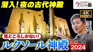 【古代遺跡】幻想的な夜の姿も大公開！ルクソール神殿を現地解説（エジプト・ラメセス2世・カルナック神殿・歴史・遺跡・考古学） [upl. by Donelle]