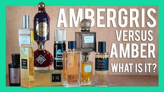 WHAT IS AMBERGRIS AMBER VS AMBERGRIS AMBERGRIS PERFUME REVIEWS [upl. by Nido843]