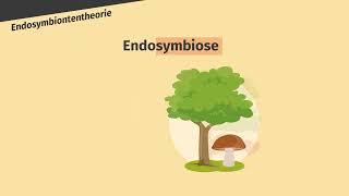 Endosymbiontentheorie – Entstehung der Chloroplasten und Mitochondrien einfach erklärt  sofatutor [upl. by Liuqa]