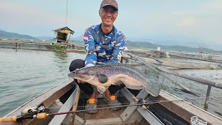 toman babon vs gatotkaca traveling rod [upl. by Colp29]