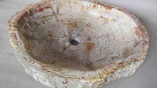 Petrified Wood Sink for sale [upl. by Esnofla689]