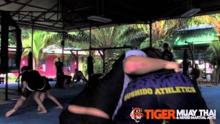 Brian Ebersole Seminar  Tiger Muay Thai amp MMA Training Camp Phuket Thailand [upl. by Danette]