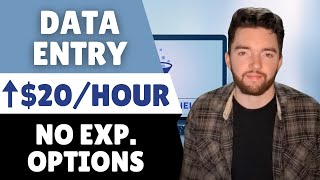 3 Newest Remote Data Entry Jobs for Beginners  No Experience Options [upl. by Izaak]