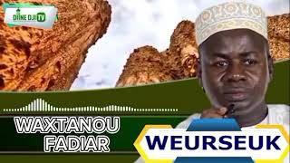 WEURSEUK LOUKOY YOKK AK LOUKOY WAGNI WAXTANOU FADIAR AVEC SERIGNE HADY NIASS [upl. by Rozamond]