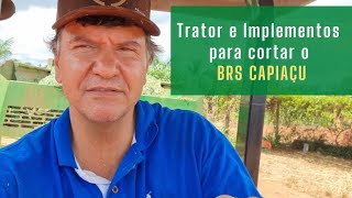 Trator e implementos necessários para cortar o Brs Capiaçu [upl. by Melesa100]