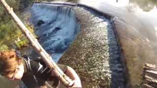 Swimming at ClavertonWarleigh Weir Near Bath [upl. by Earehc]