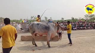 శ్రీ అవధూత కొండయ్య స్వామి జాక్పాట్ విభాగంలో 4 జత boreddy amp M K M [upl. by Dichy]