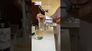 Silver nitrate chloride ion test with Practical Guru Monu Sharma [upl. by Eahsan948]