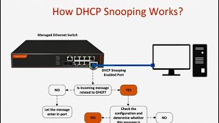 DHCP Snooping [upl. by Grobe]