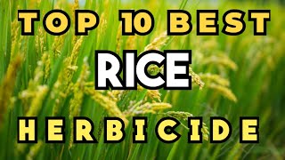 Top 10 Best Herbicide For Rice [upl. by Wilmer]