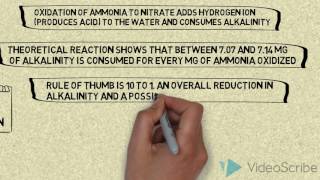 ALKALINITY DURING NITRIFICATION [upl. by Atthia625]