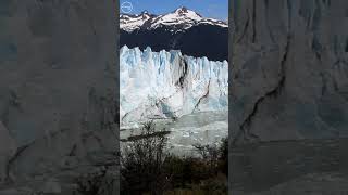 Glacier Calving peritomoreno climatechange argentina patagonia [upl. by Nicole]