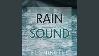 Rain Sound Pure White Noise for Natural Deep Sleep Inducing [upl. by Nerol]